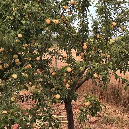 فيلا Agriturismo S'Aranada Marrùbiu المظهر الخارجي الصورة
