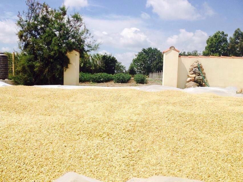 فيلا Agriturismo S'Aranada Marrùbiu المظهر الخارجي الصورة